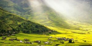 Voyager avec un Guide francophone au Vietnam pour découvrir Tu Le
