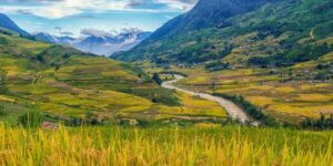 Guide francophone au Vietnam Découvrir Ban Ho