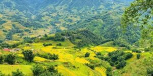 Guide francophone au Vietnam Visiter Giang Ta Chai