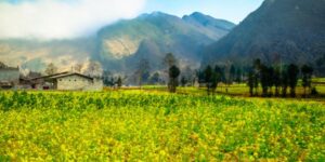 Voyage à Ha Giang