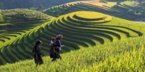 Voyager avec Guide francophone au Vietnam Découvrir Ban Ho