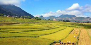 Voyager avec Guide francophone au Vietnam Visiter Than Uyen