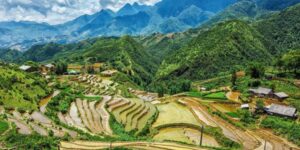 Voyager avec Guide francophone au Vietnam pour découvrir Ma Tra