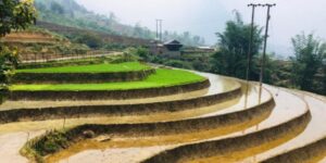 Voyager avec Guide francophone au Vietnam pour visiter Thai Giang Pho