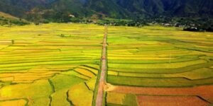 Voyager avec Guide francophone au Vietnam pour visiter Than Uyen