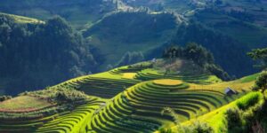 Organiser son voyage au Vietnam avec une agence de voyage locale