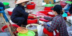 Voyage découverte culinaire au Vietnam