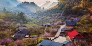 Voyager avec un Guide francophone au Vietnam Découvrir Son La