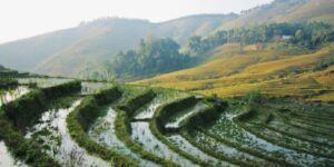 Activités respectueuses de la nature et des cultures Voyage au Vietnam