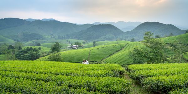 Voyage au Vietnam à petit budget