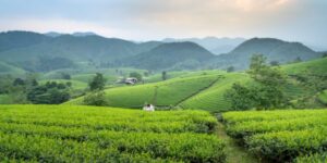 La meilleure période pour visiter le Nord du Vietnam