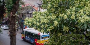 L'automne à Hanoi