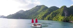 Guide francophone au Vietnam