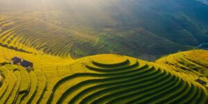 La saison sèche dans le Nord du Vietnam