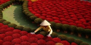 Pourquoi la saison sèche attire autant de voyageurs au Vietnam