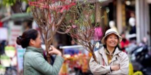 Voyage à Hanoi en février