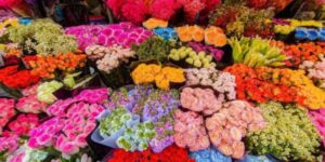 Marché de Quang Ba Hanoi