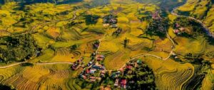 Guide francophone au Vietnam