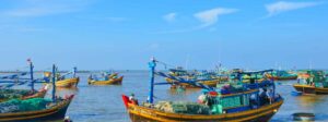 Guide francophone au Vietnam