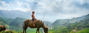 Guide francophone au Vietnam